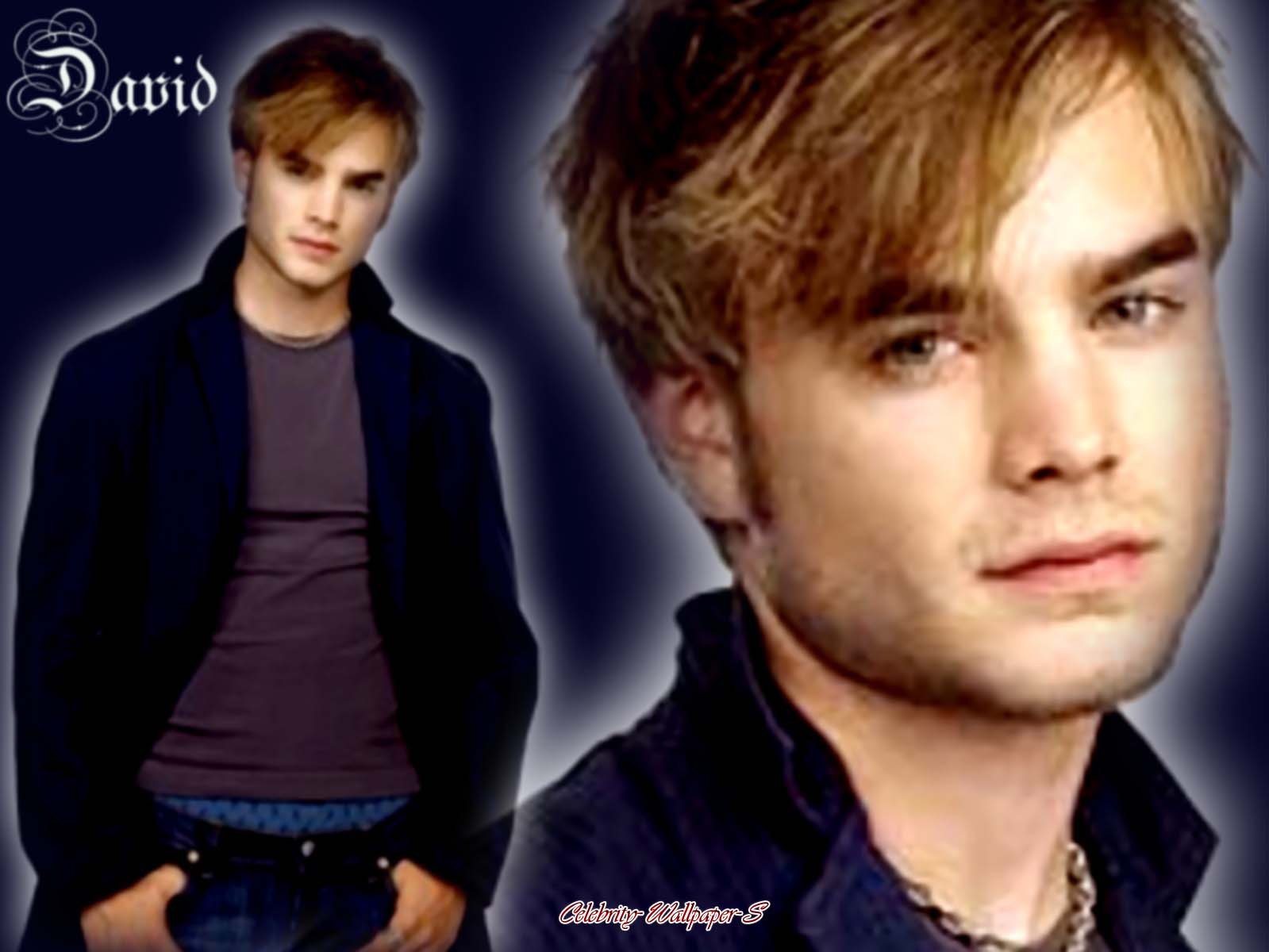 Tracie Byrd: david gallagher wallpaper