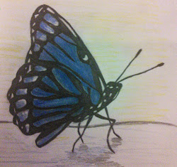 butterfly drawing monarch pencil savvy getdrawings