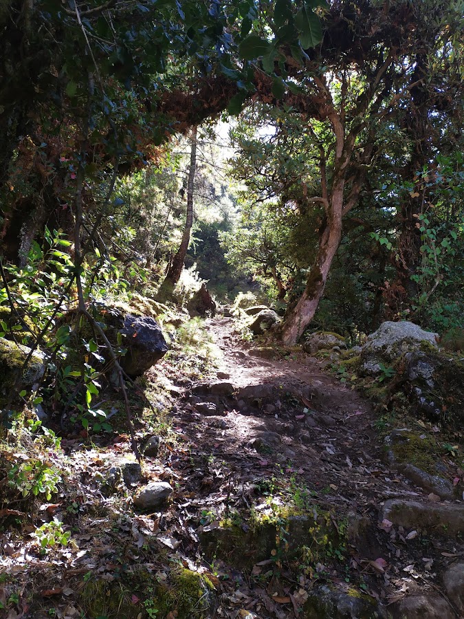 По долине Цум и вокруг Манаслу не галопом, ноябрь 2019.