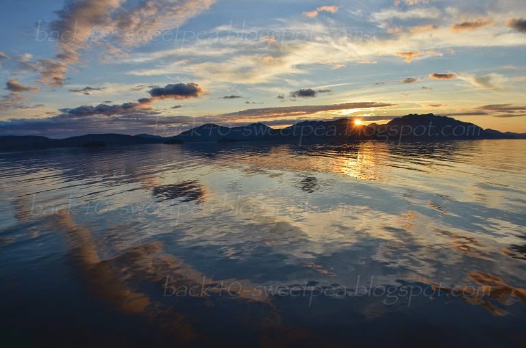 Sunset Reflections Photo by Trisha Field