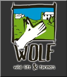 WEB - PROYECTO WOLF