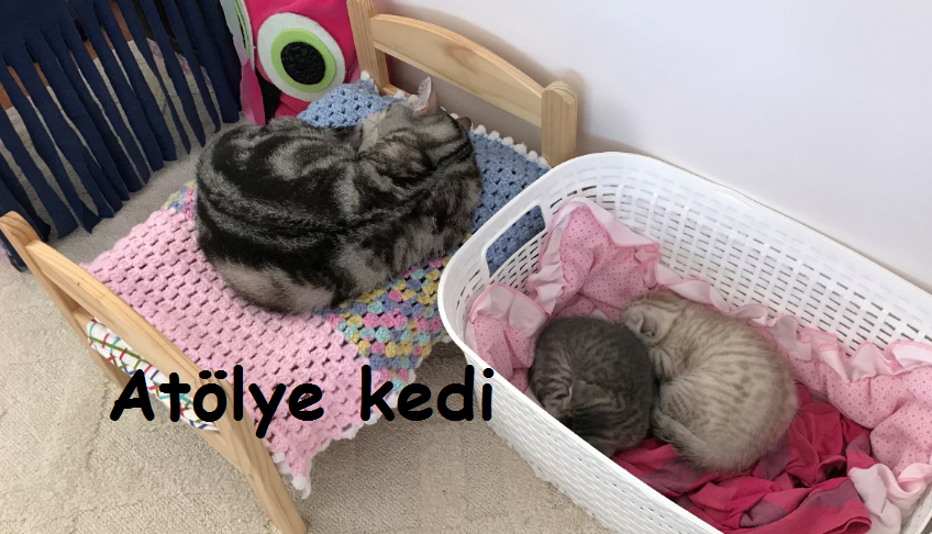 Atölye Kedi Cumadan Pazara…