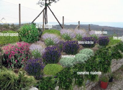 progetto giardino privato piccolo gratis online