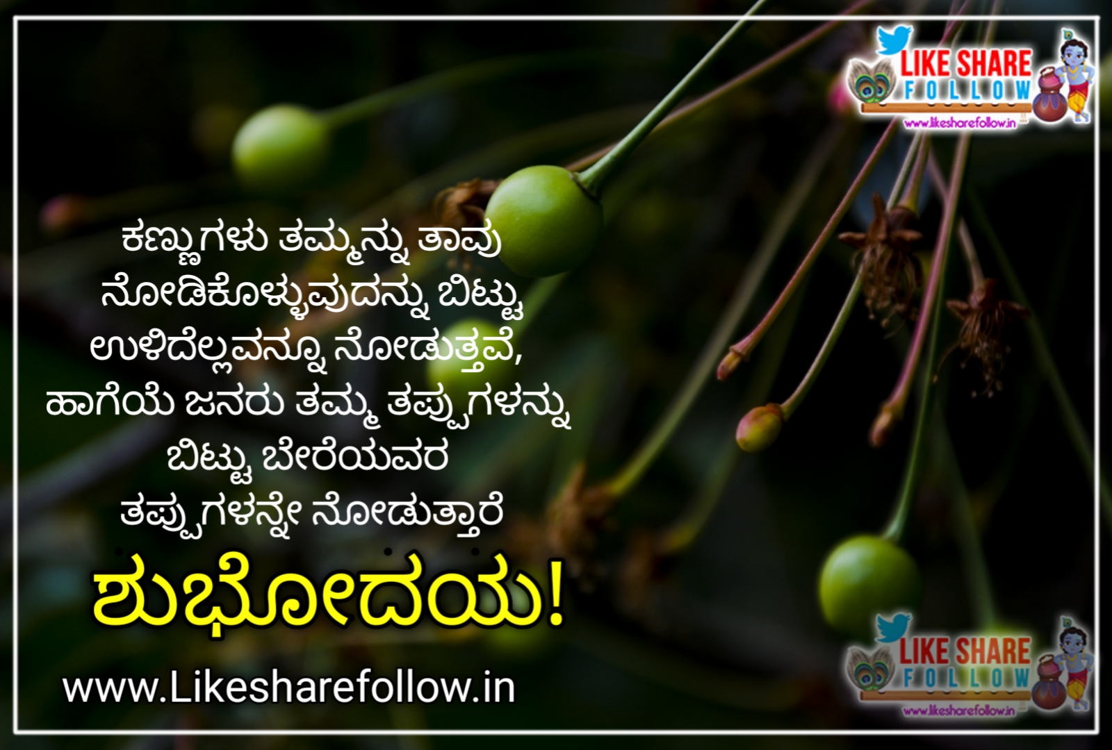 Kannada good morning Quotes | Like Share Follow