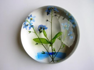 Forget me not flowers paperweight