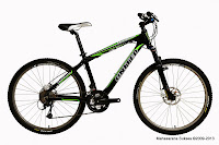 Sepeda Gunung Dominate 012 26 Inci
