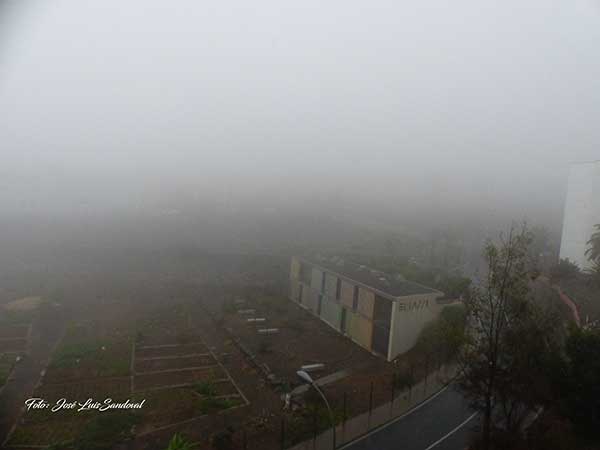 Vídeo: Zonas  de Gran Canaria cubiertas por una fuerte niebla