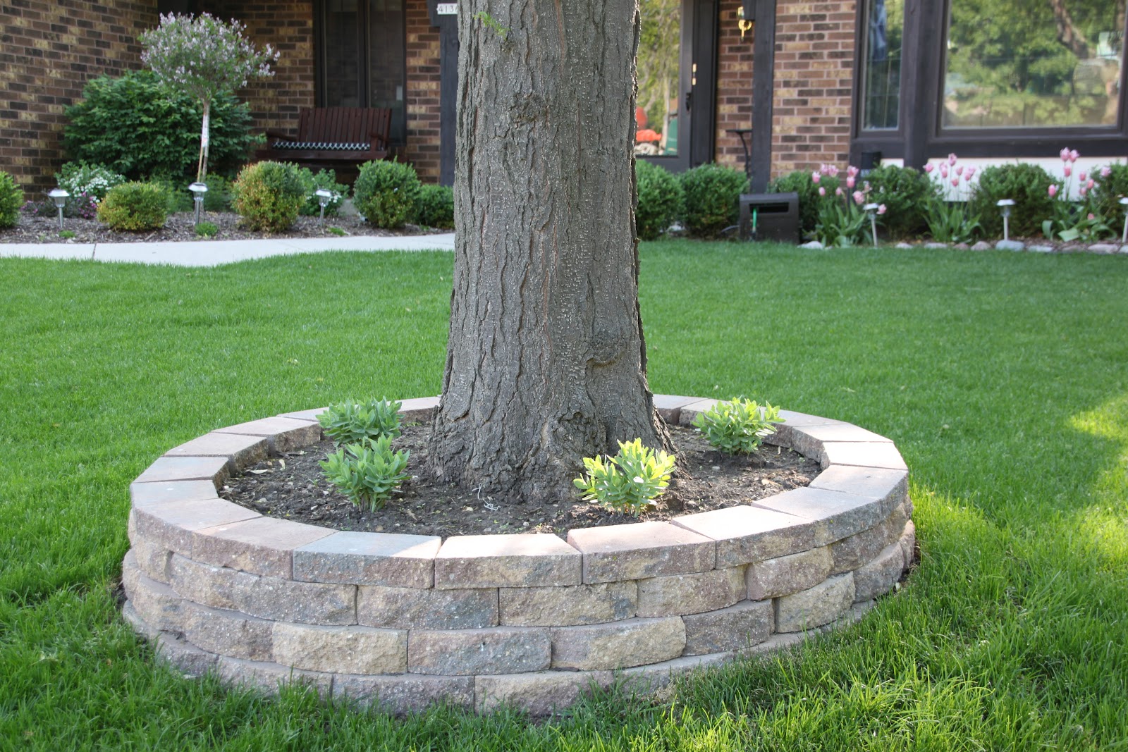 my best friend craig RETAINING WALL AROUND A TREE