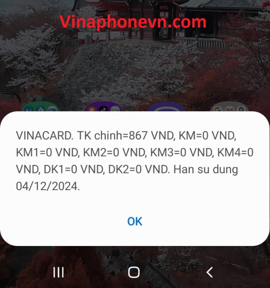 Hướng dẫn kiểm tra ngày kích hoạt Sim VinaPhone