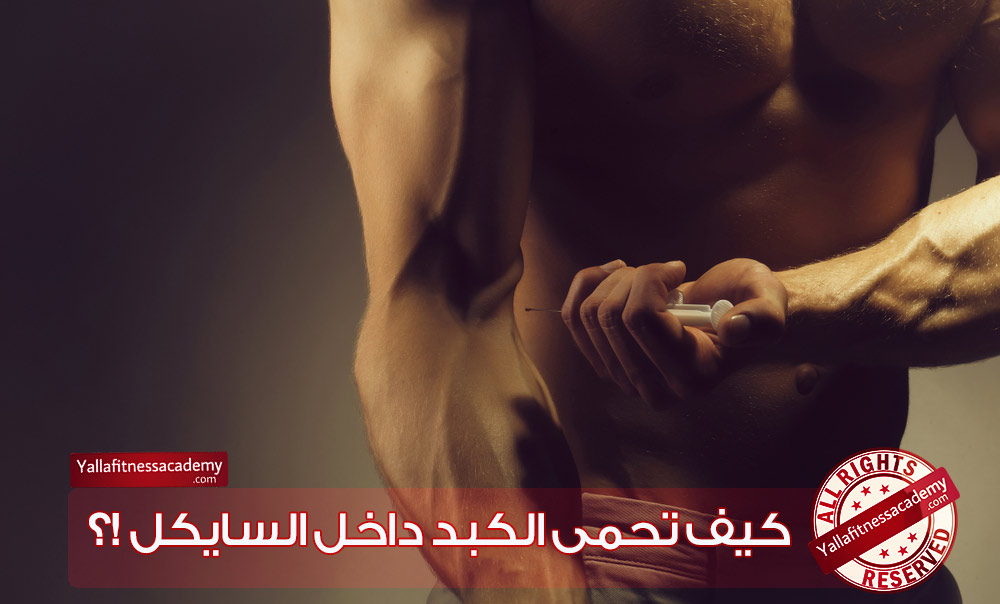 أدوية الحماية - كيف تحمى الكبد داخل السايكل !؟ أدوية الحماية - كيف تحمى الكبد داخل السايكل !؟