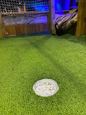 Mr Mulligans Lost World Golf Stevenage. Photo by Raquel Xavier, July 2020 Mr Mulligans Lost World Golf Stevenage. Photo by Raquel Xavier, July 2020