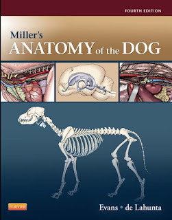 Miller’s Anatomy of the Dog ,4th Edition