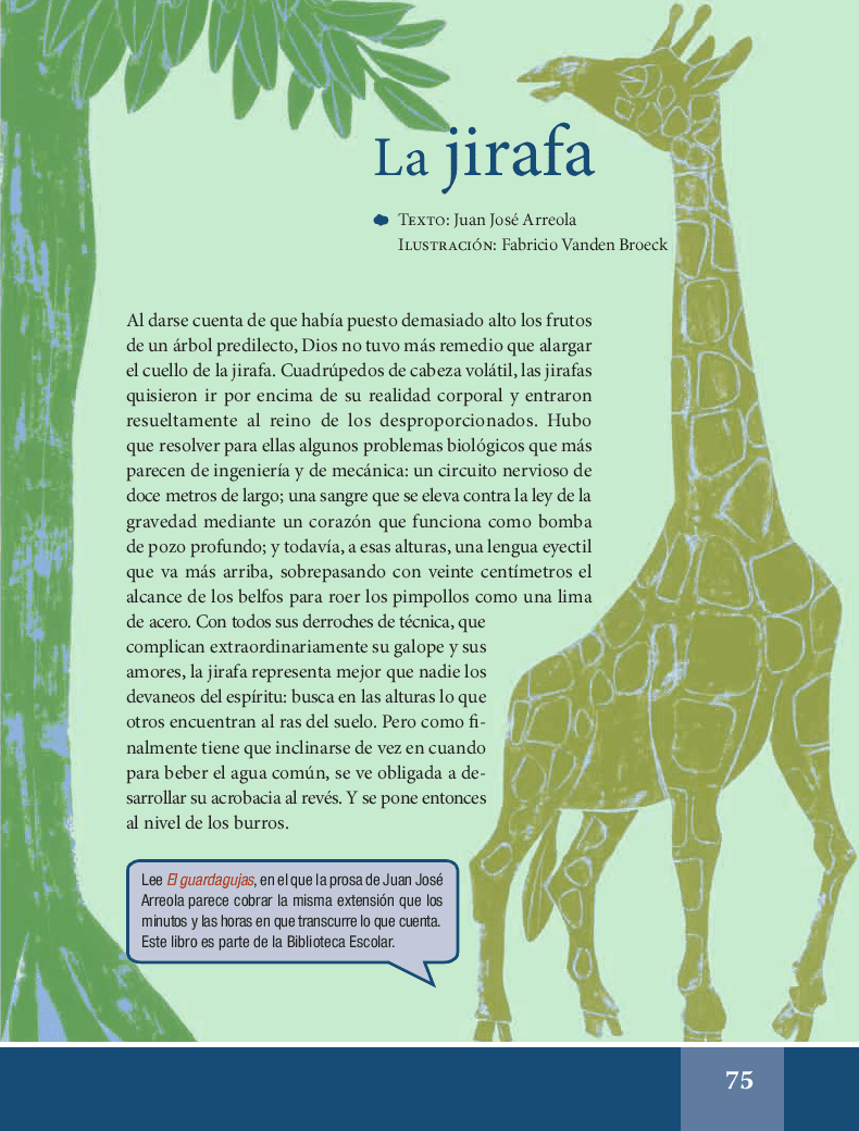 La jirafa - Español Lecturas 6to 2014-2015 