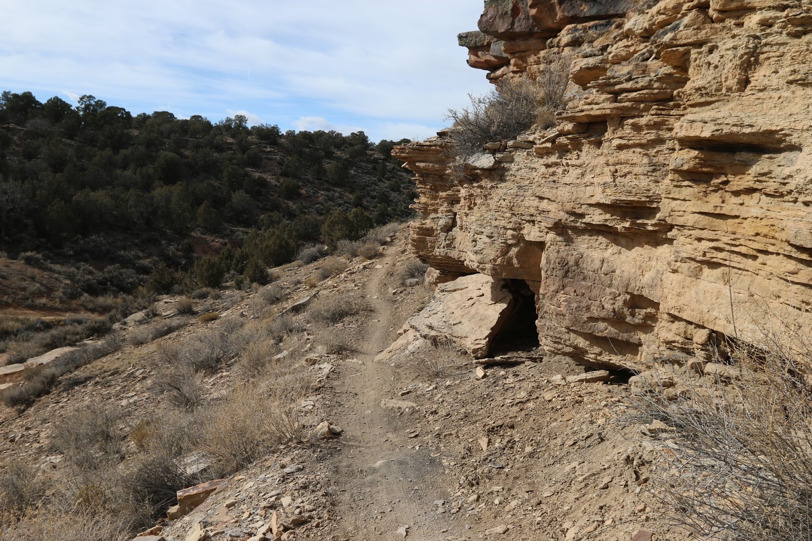 Buzzard Gulch Trails (9)