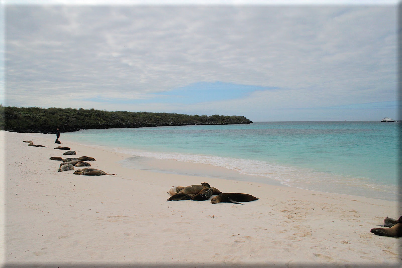 Bahía Gardner, maravilloso paraíso del Ecuador..!! Ecuapana Turistiando