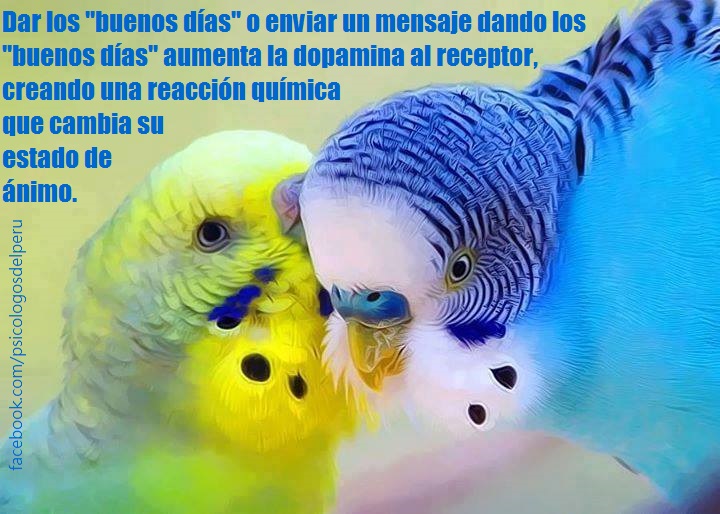 PSICOLOGOS PERU: CONSEJERIA MATRIMONIAL: 14 RECOMENDACIONES