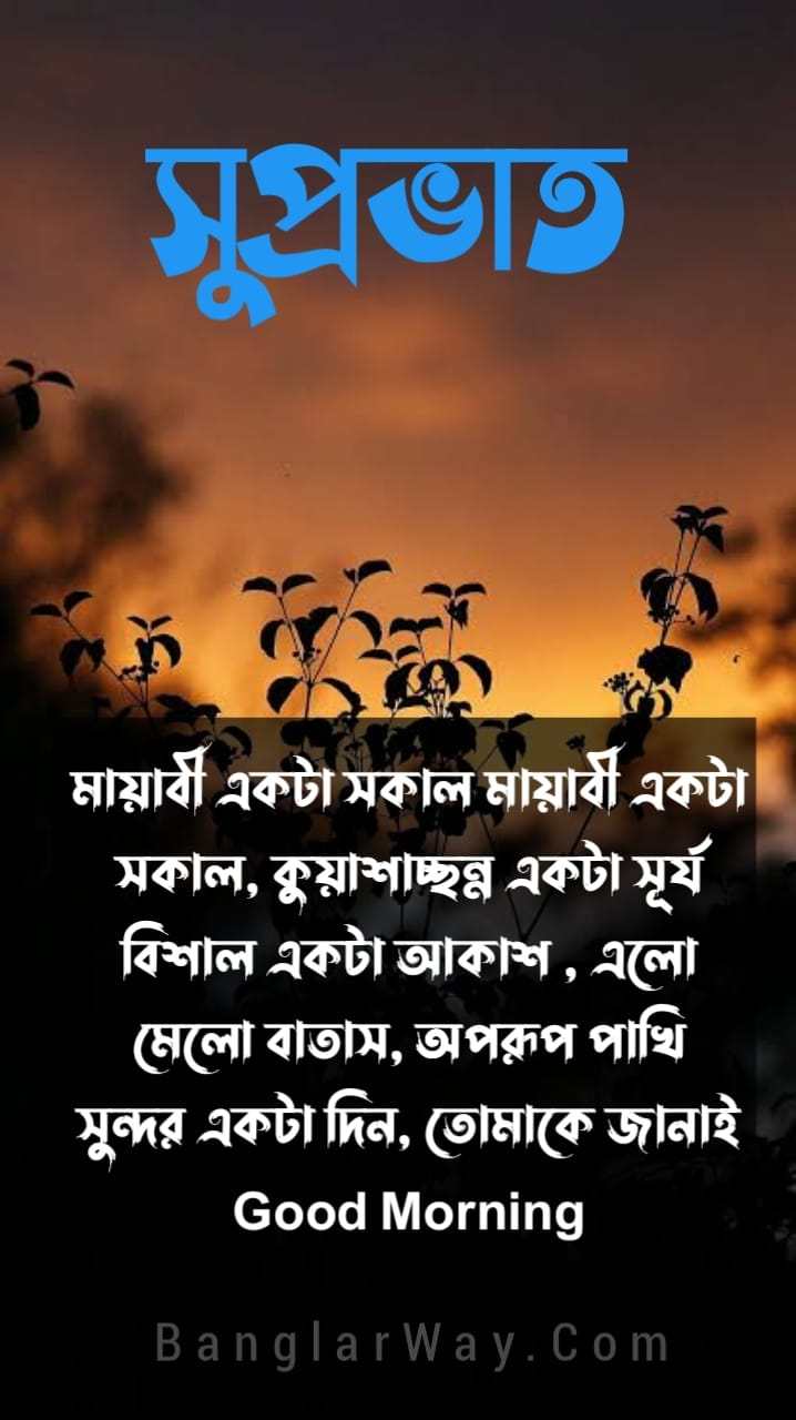{NEW} 30+ Bangla Good Morning SMS Good morning bengali