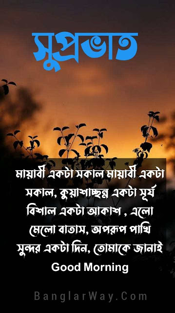 bangla suprovat image