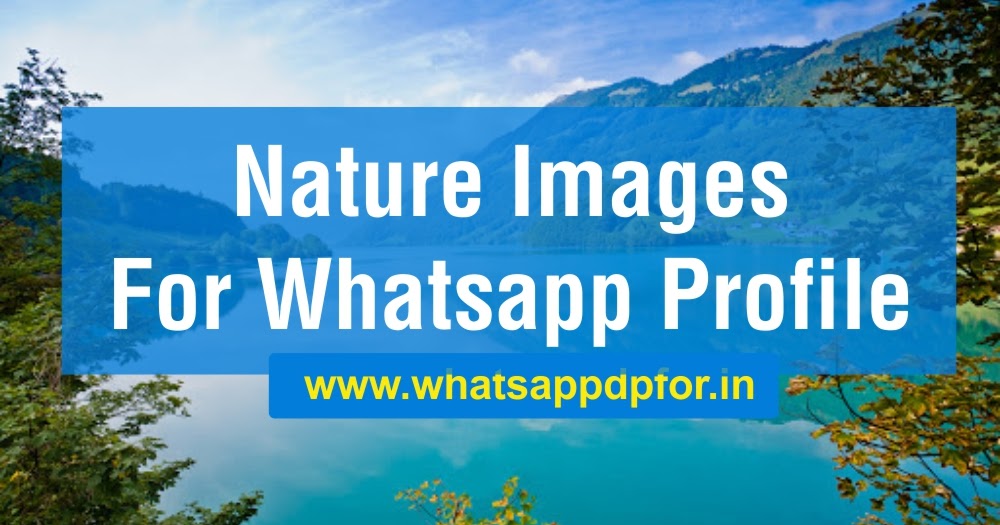 314+ Nature Images Whatsapp Profile | Nature Whatsapp DP Download