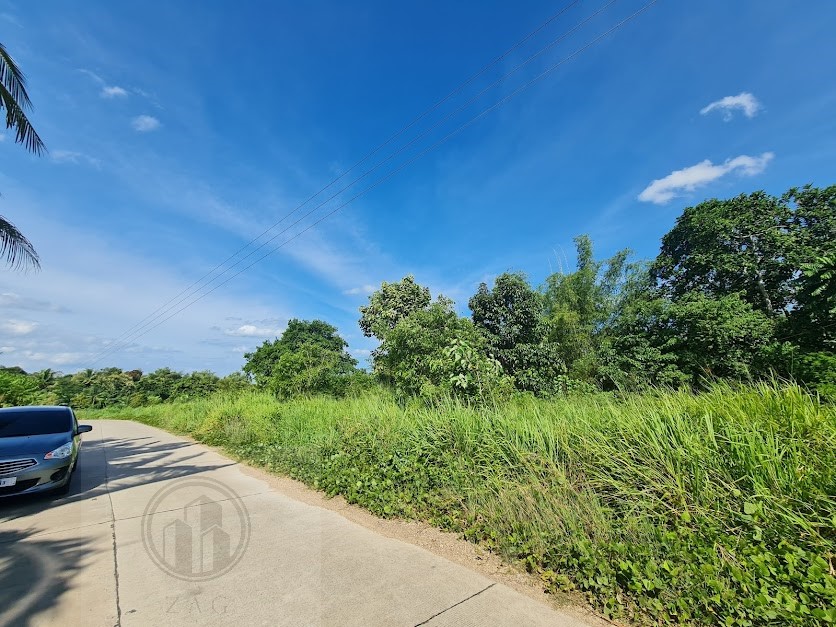 FARM LOT FOR SALE PUROK 3, CASATE, UBAY, BOHOL