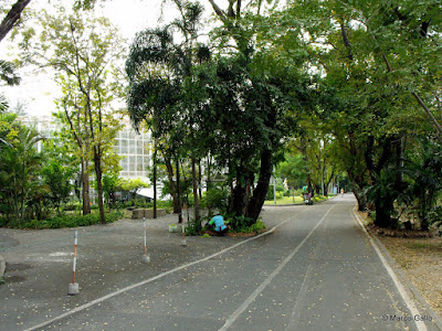 JARDÍN DE MARIPOSAS, BANGKOK. TAILANDIA