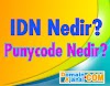 IDN Domain nedir, Punycode nedir?