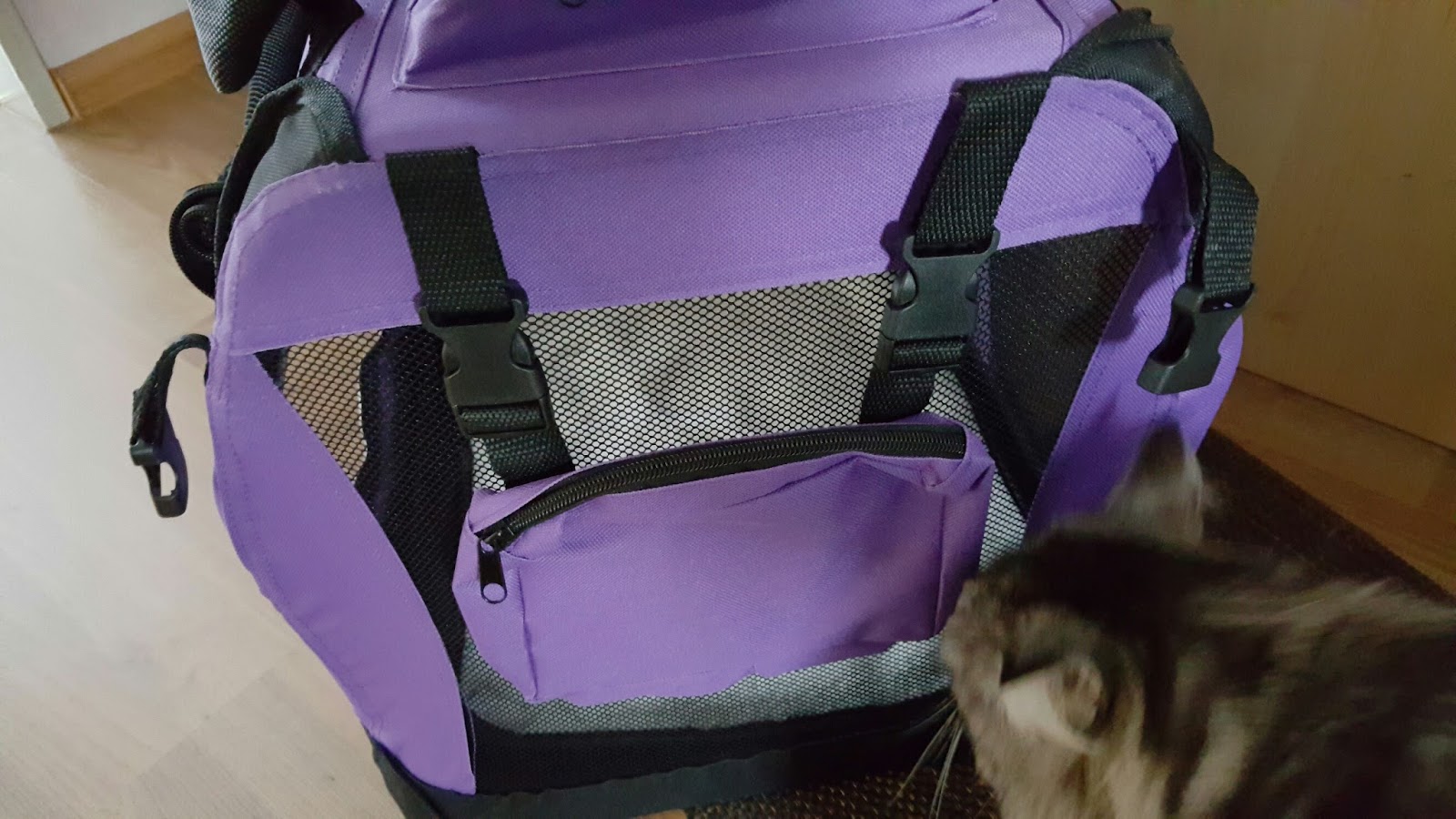 reisebox hund
