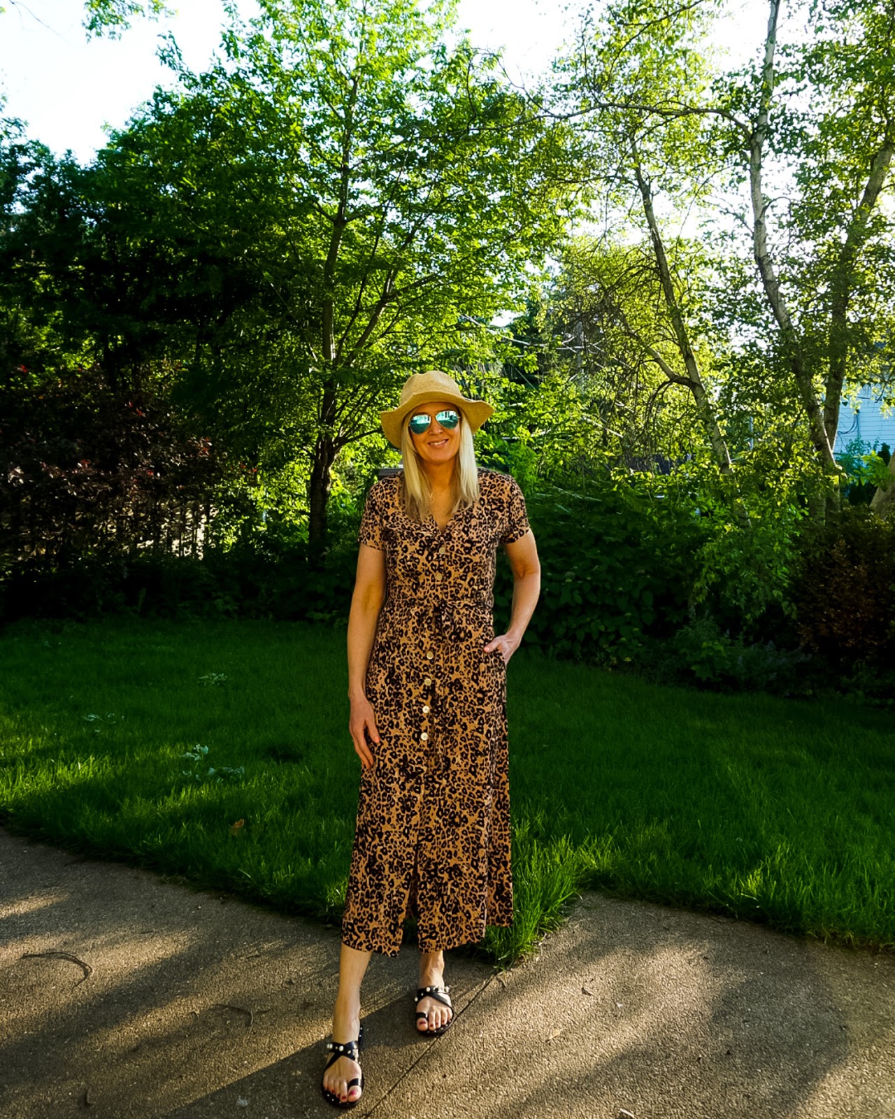 Wilfred Leopard Print Shirt Dress