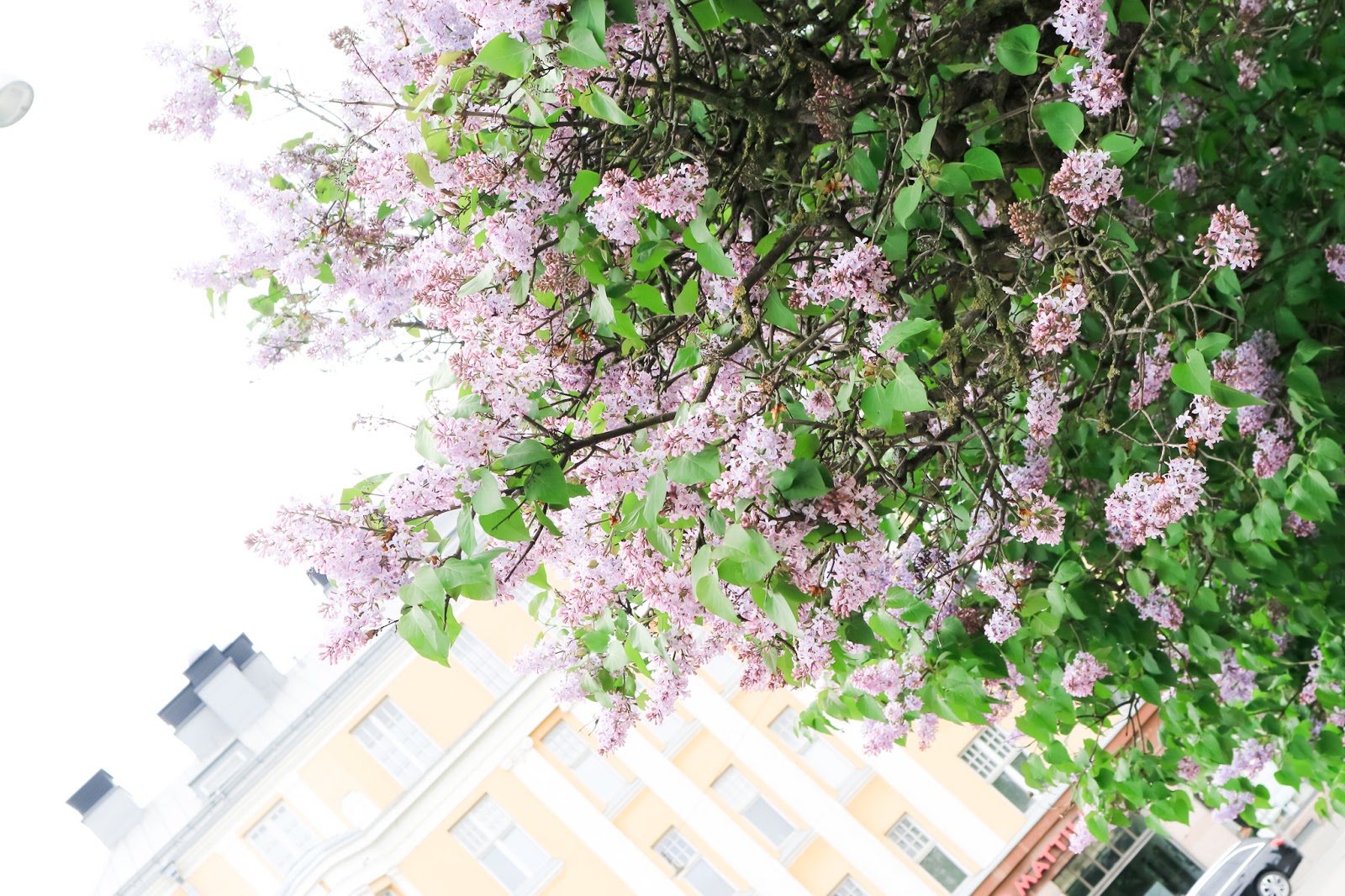 Big mamas home by Jenni S, Mitä tehtiin viikonloppuna, Game of Thrones, arki, viikonloppu, koti,