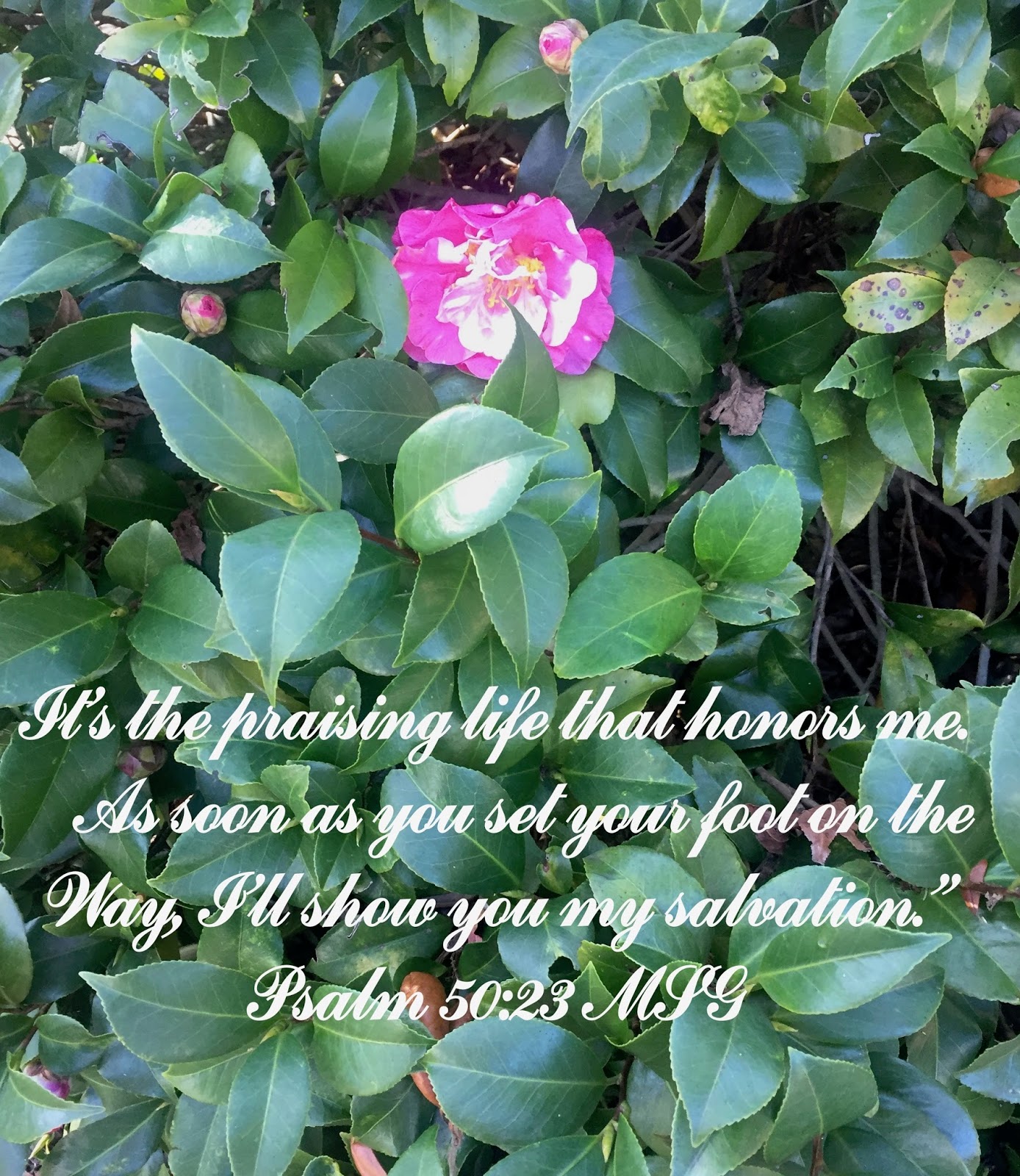 My Strength Psalm 50 It Is Well With My Soul my-strength-psalm-50-it-is-well-with-my-soul