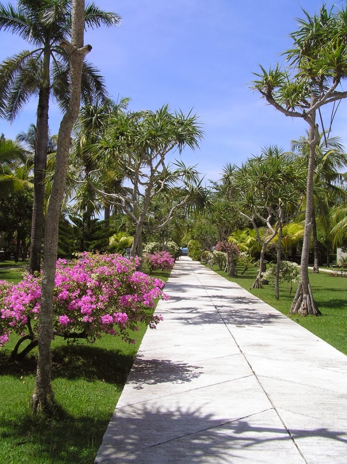 Отель инна путри бали Отель инна путри бали