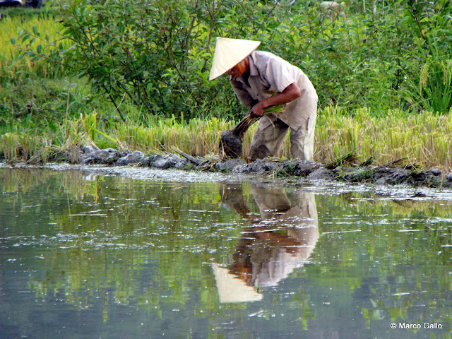 MAI CHAU, VIETNAM