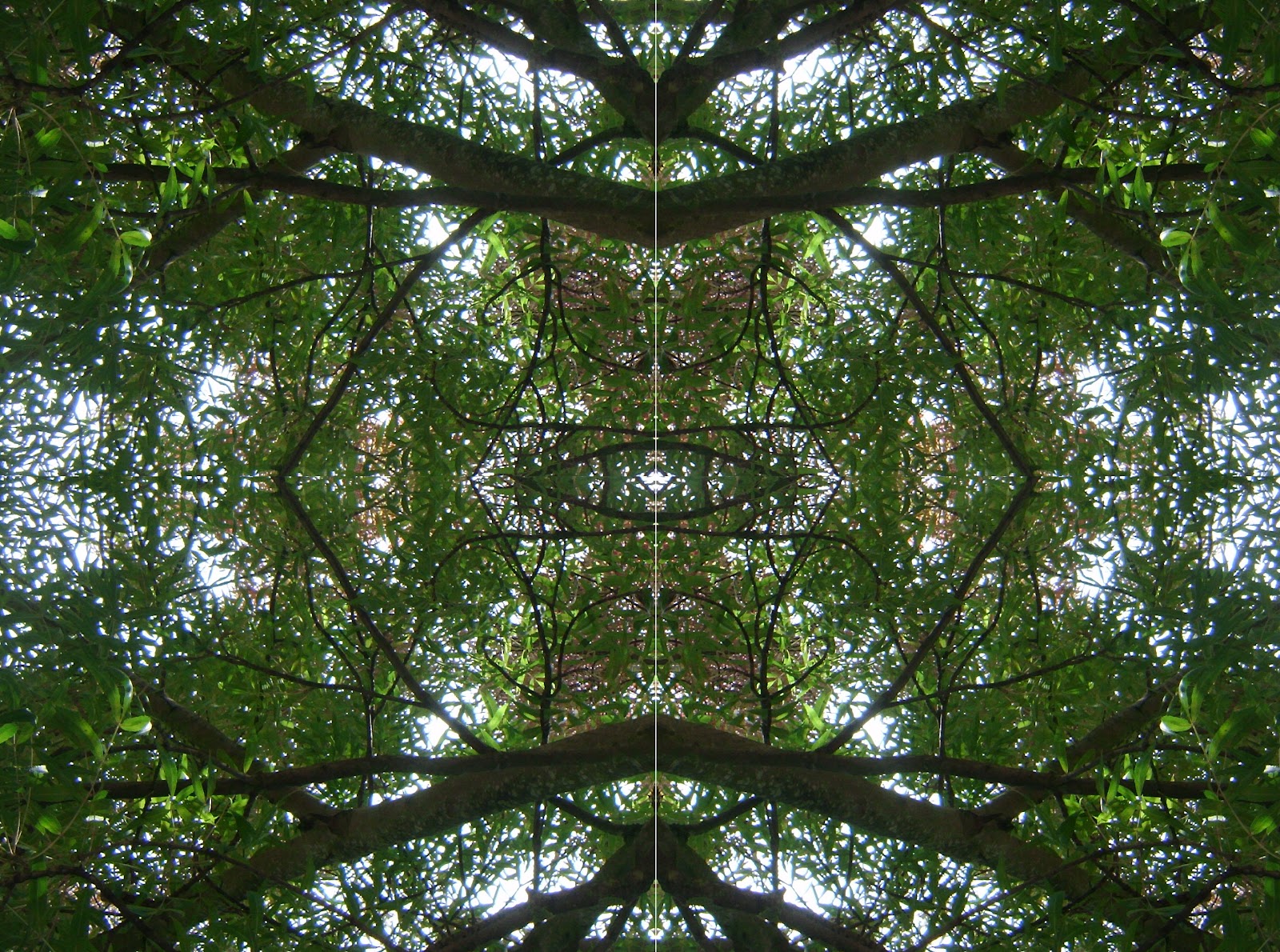 picture of kaleidoscope picture of kaleidoscope