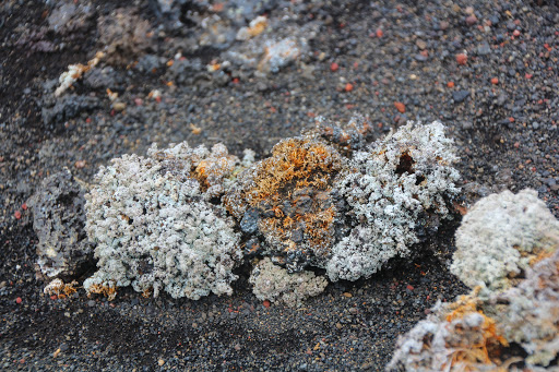 Велопоход по Исландии