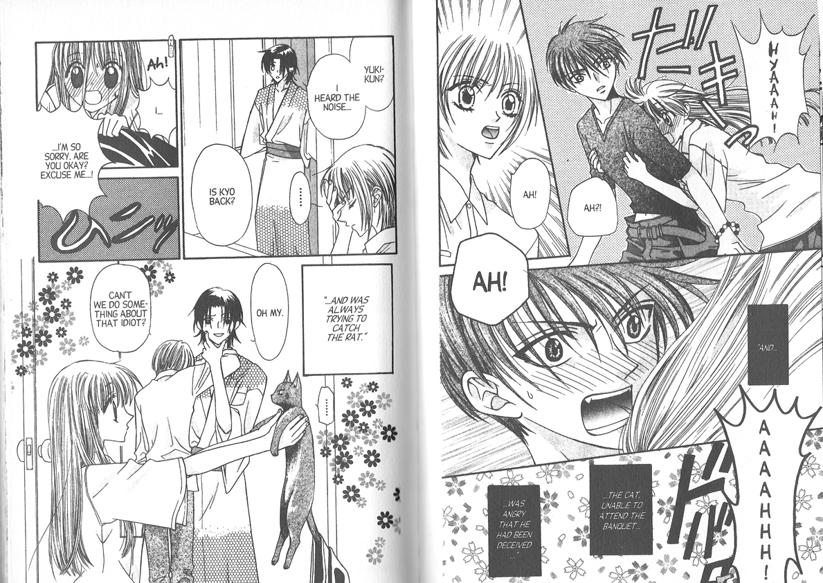 Sally Poyton Western Fairy Tales & Manga Part 2; Fruits Baskets by