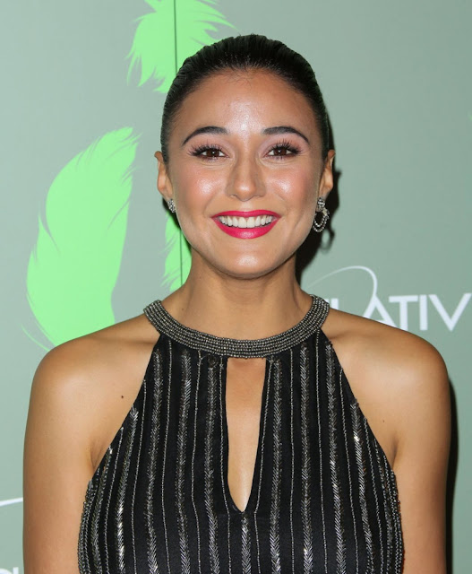 DC COMICS AND ARROWVERSE : Emmanuelle Chriqui Red Carpet Throwback
