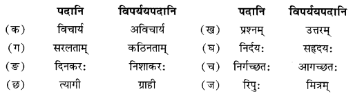 NCERT Solutions for Class 10 Sanskrit Shemushi Chapter 4 शिशुलालनम्