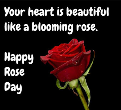 Rose day quotes