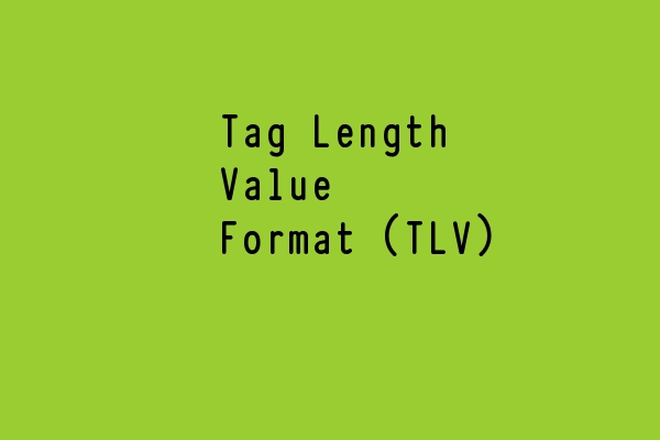 TLV format How to Decode TLV Quickly