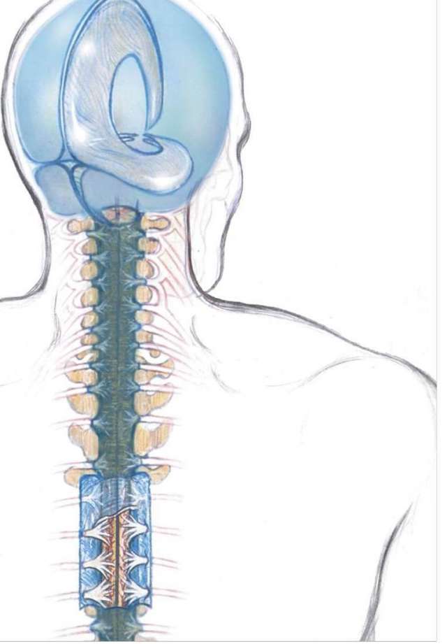 Ian Watt Cranial: CranioSacral Therapy (CST)