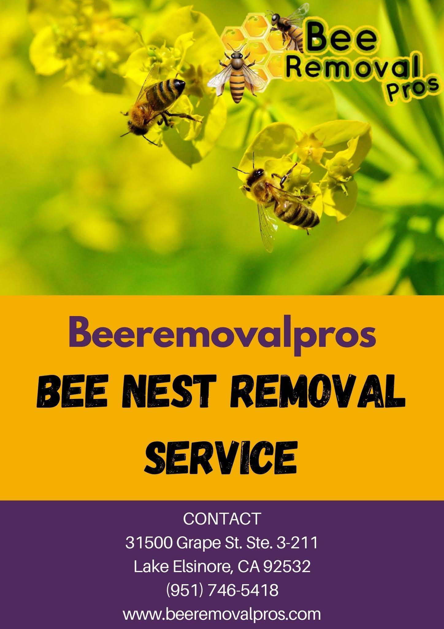 Honey Bee Nest Removal Service Beeremovalpros