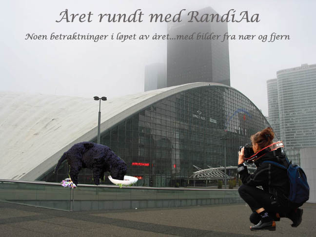 Året rundt med RandiAa