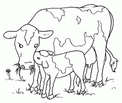 La Chachipedia: Vacas, toros y bueyes para colorear