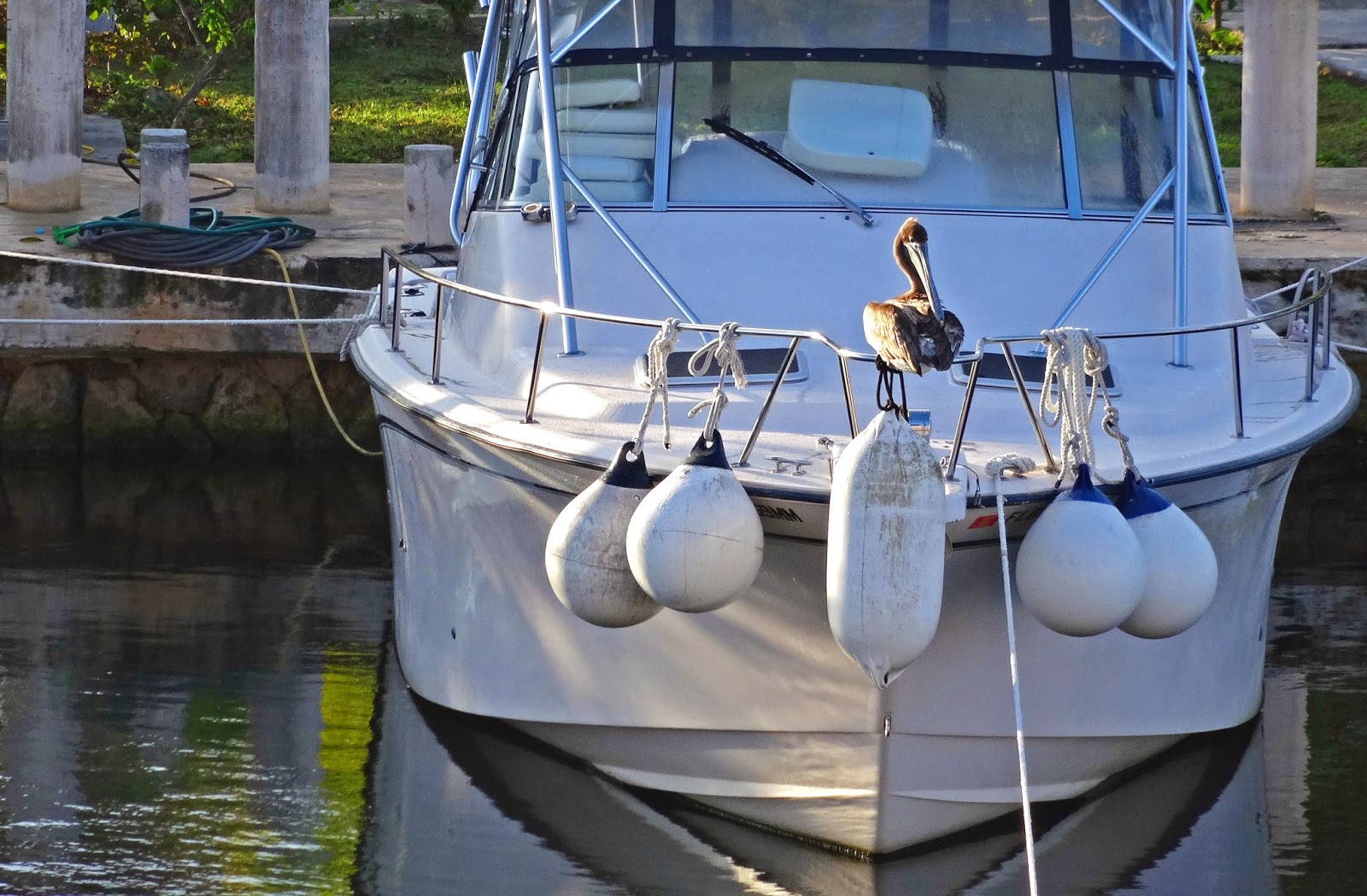 Joe's Retirement Blog Boats, Puerto Aventuras, Quintana Roo, Riviera