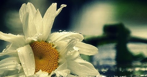 MITOS Y REINCIDENCIAS SEPTIEMBRE, de Hermann Hesse