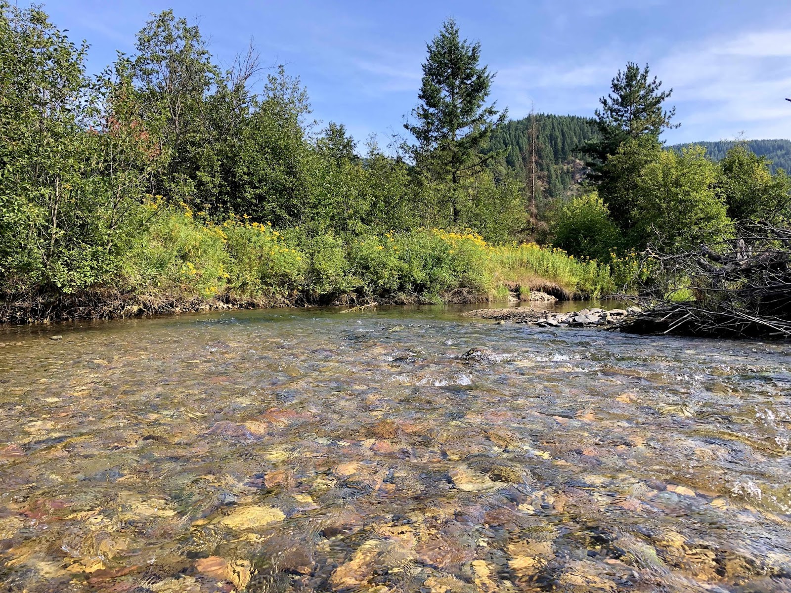 Wandering His Wonders Fancy Living in Trout Creek, Montana