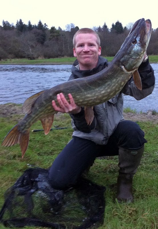Bass Fishing Wexford & Ireland Balance