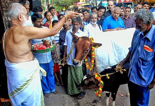 Legacy of Wisdom: In Indian culture..why do we worship Bull [Nandi] and ...
