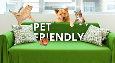Pet Friendly Apartments in Concord