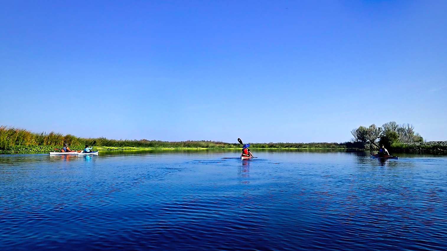 The Duffel Bag * Kayaking Quimby Island